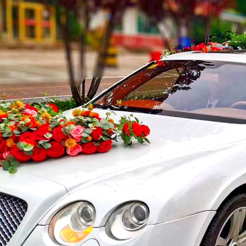 澳门往返直通车