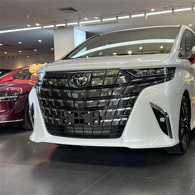 埃尔法港澳直通车